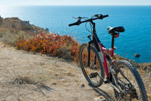 Bicycle on coastline